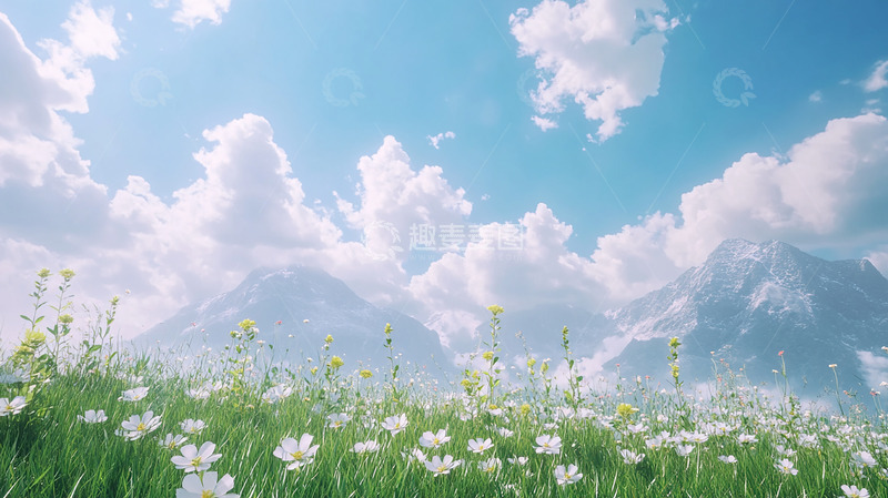 高清大图下载【趣麦麦图】春天花海百花蓝天白云