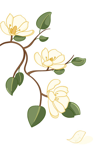 玉兰花朵枝桠素材