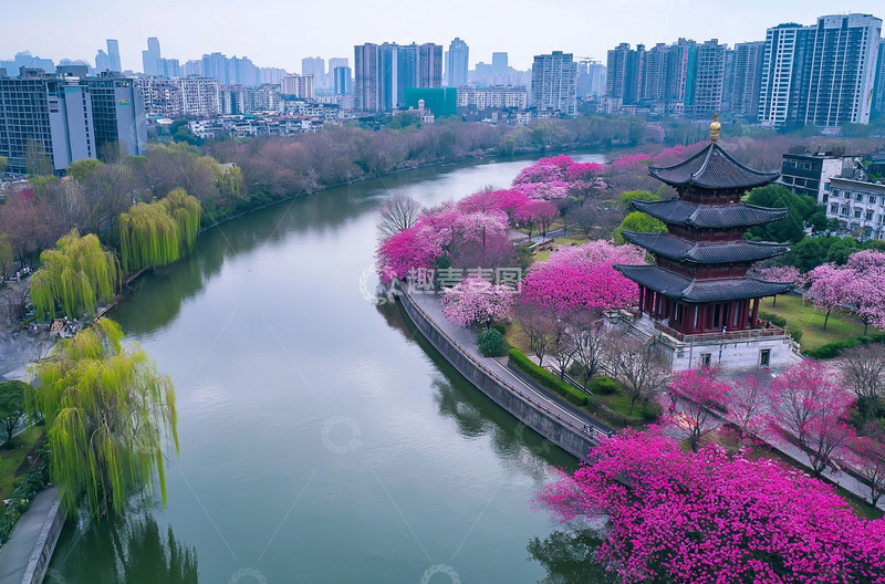 高清大图下载【趣麦麦图】河边古建筑春天风景摄影