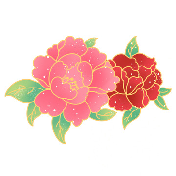 植物花朵牡丹粉色花朵牡丹花