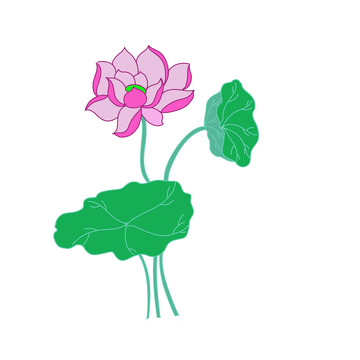 国风植物粉色荷花