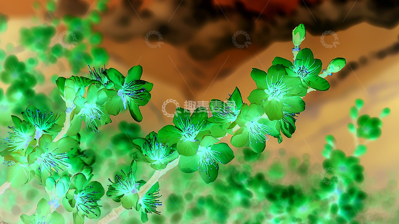 高清大图下载【趣麦麦图】春天唯美桃花树背景