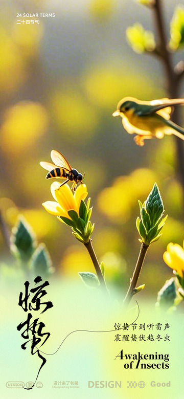 惊蛰海报设计1