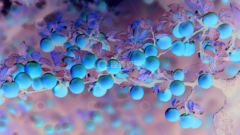 高清大图下载【趣麦麦图】硕果累累的柿子背景