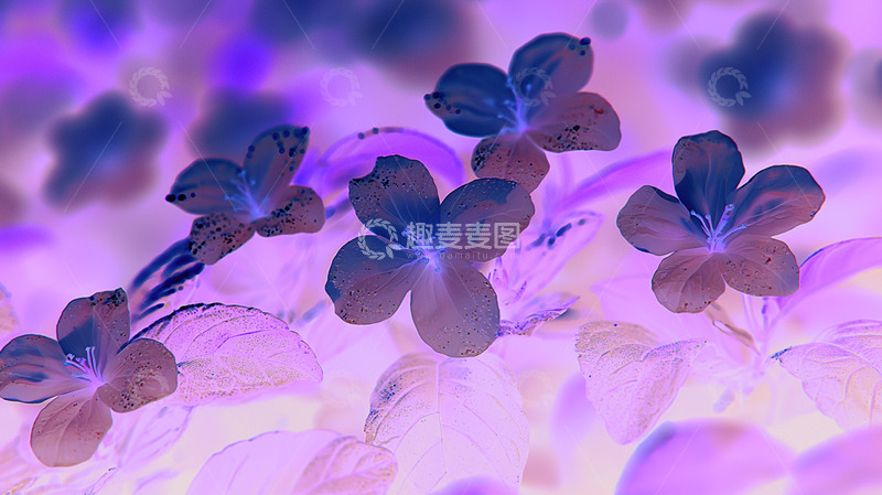 高清大图下载【趣麦麦图】-唯美茉莉花背景