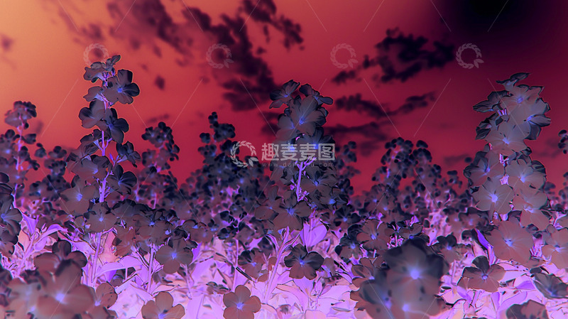 高清大图下载【趣麦麦图】清新茉莉花背景