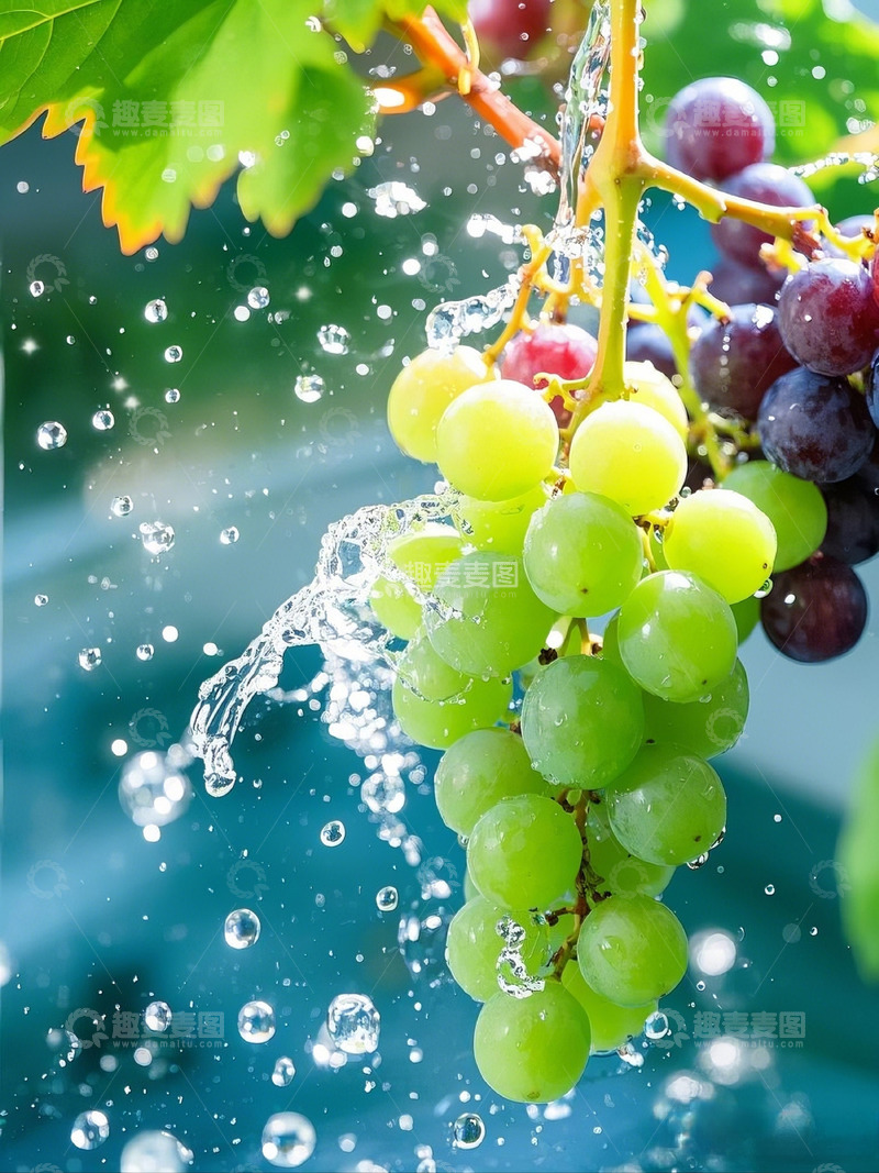 高清大图下载【趣麦麦图】香甜葡萄