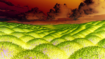 紫色清新薰衣草背景