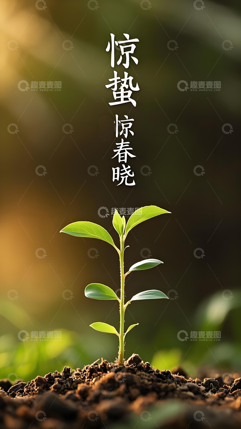高清大图下载【趣麦麦图】惊蛰节气海报壁纸春天花草风景20