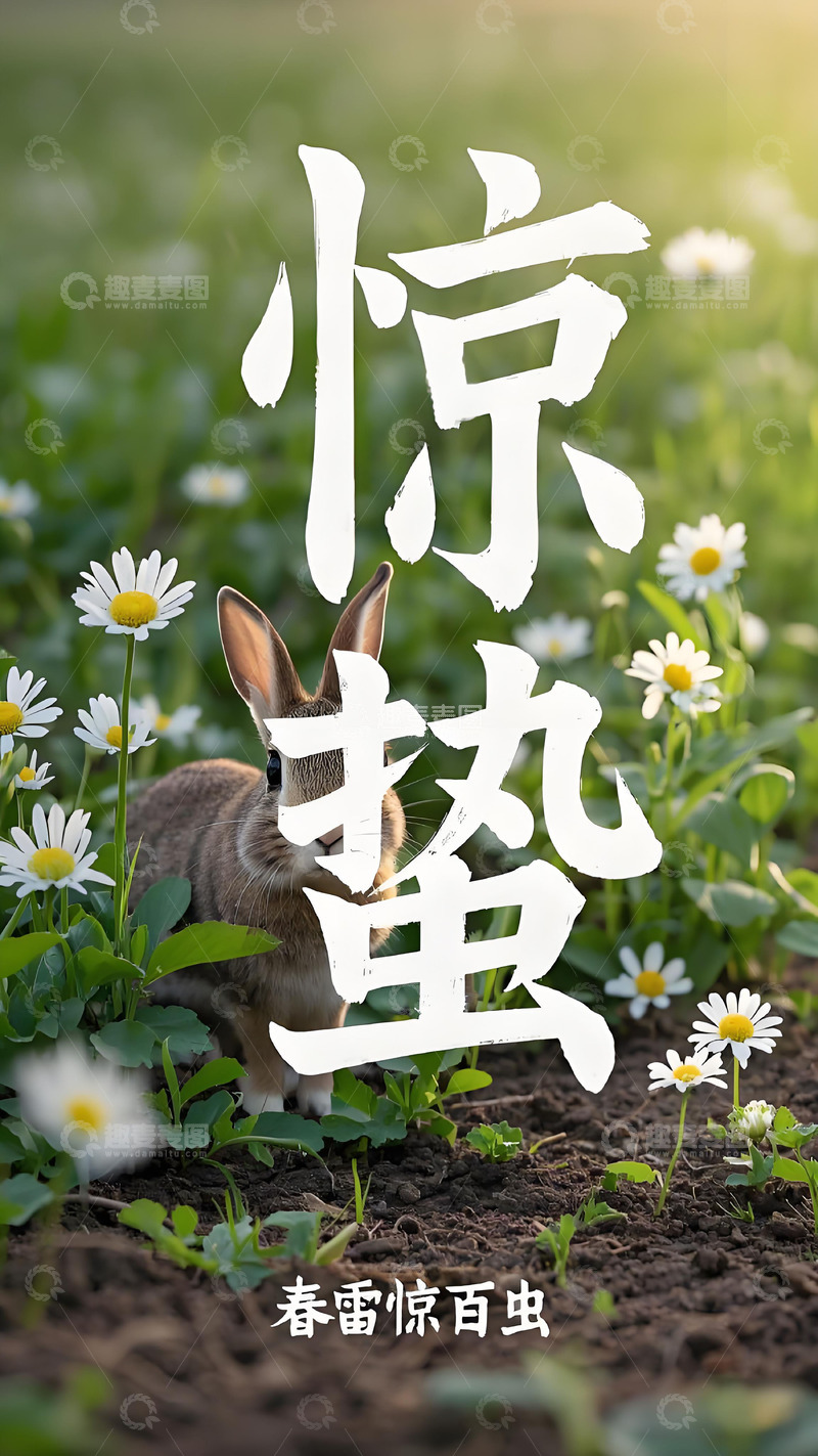 高清大图下载【趣麦麦图】惊蛰节气海报壁纸春天花草风景3