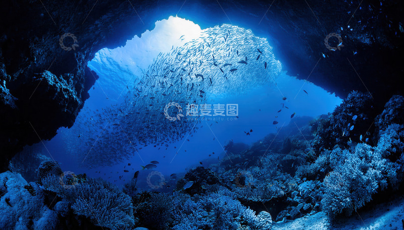 高清大图下载【趣麦麦图】海底岩洞透光照耀下的密集鱼群