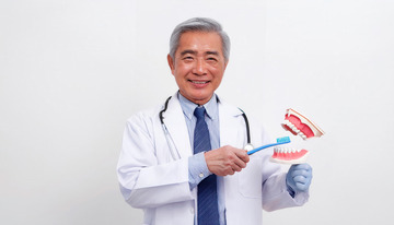 牙医展示模型并讲解刷牙知识