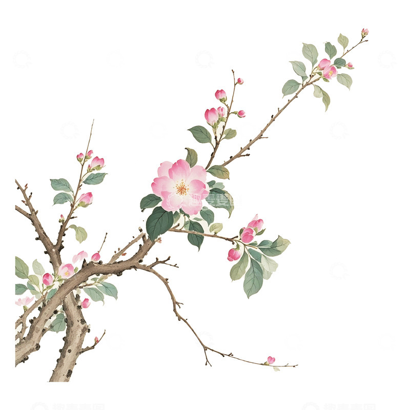 高清大图下载【趣麦麦图】古风花春天素材6