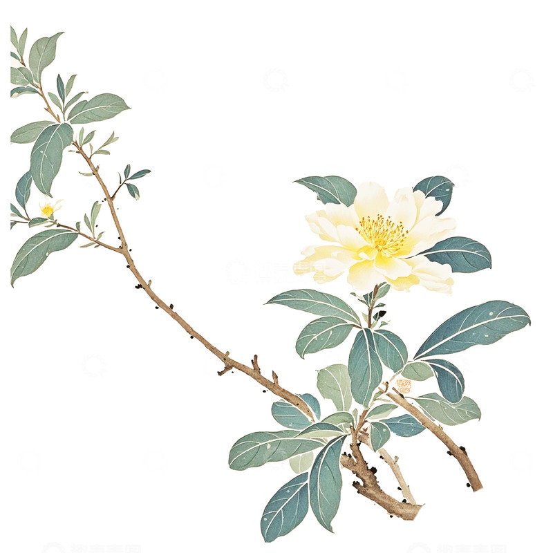 高清大图下载【趣麦麦图】花古风素材9