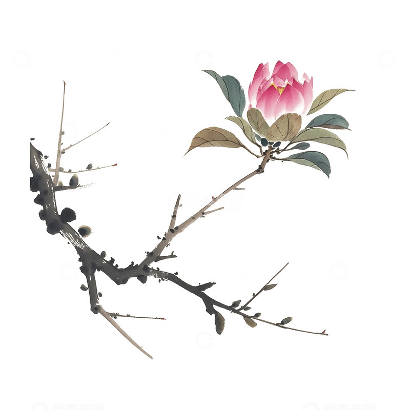 高清大图下载【趣麦麦图】古风花春天素材12