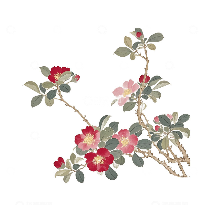 高清大图下载【趣麦麦图】古风花春天素材10