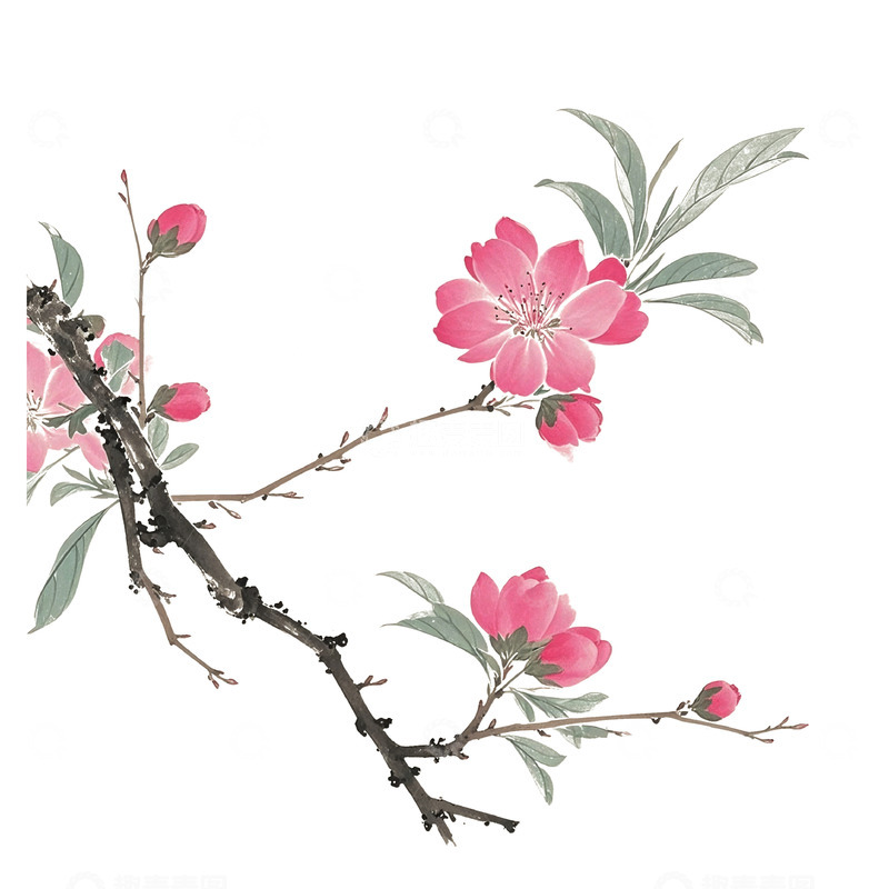 高清大图下载【趣麦麦图】古风花春天素材20