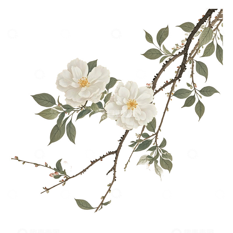 高清大图下载【趣麦麦图】花古风素材8