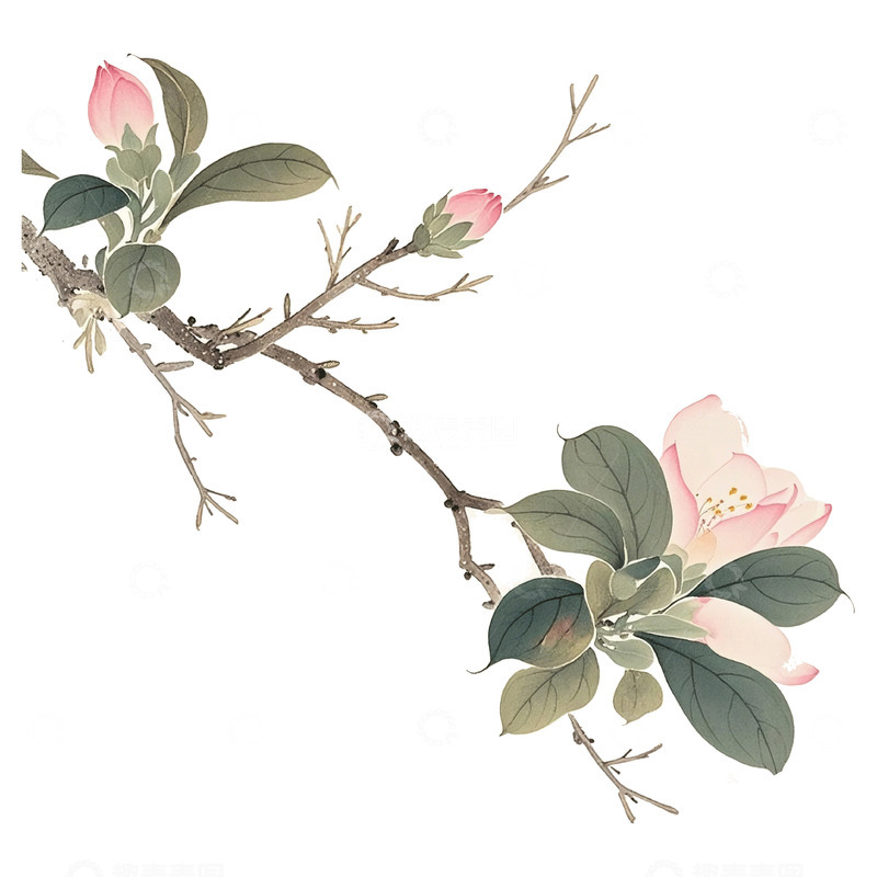 高清大图下载【趣麦麦图】古风花春天素材22