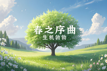 春天花卉野花小鸟雏菊栀子花桃花柳树三月风景摄影素材3
