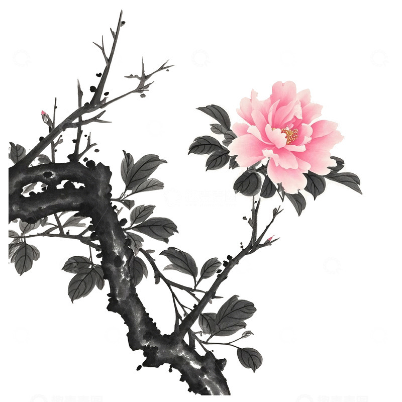 高清大图下载【趣麦麦图】古风花春天素材3