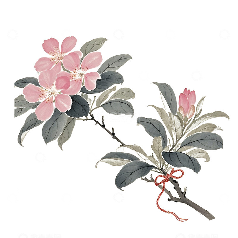 高清大图下载【趣麦麦图】古风花春天素材