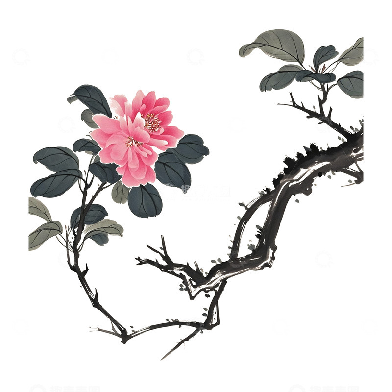 高清大图下载【趣麦麦图】古风花春天素材16