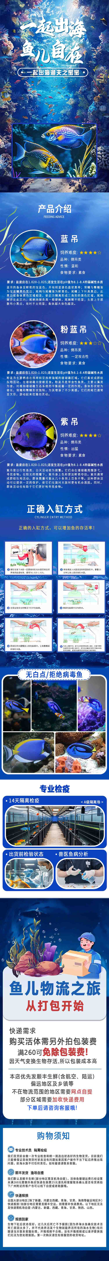 海洋鱼类蓝吊鱼缸详情页