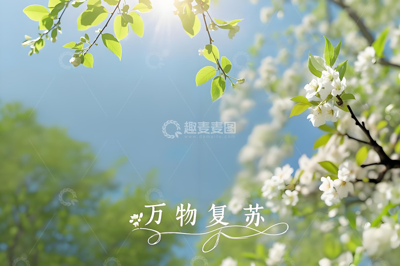 高清大图下载【趣麦麦图】春天花卉野花小鸟雏菊栀子花桃花柳树三月风景摄影素材7