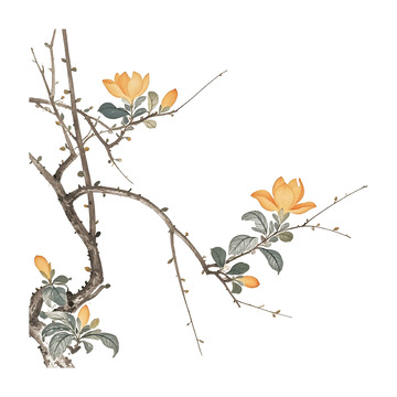 古风花春天素材28