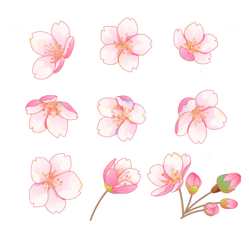 春天国风矢量樱花1