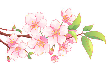 春天樱花国风矢量插画