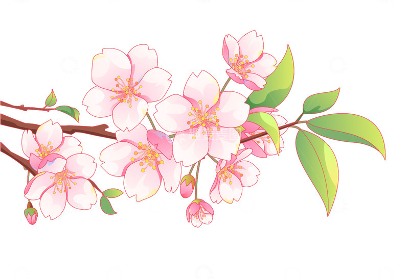 春天樱花国风矢量插画