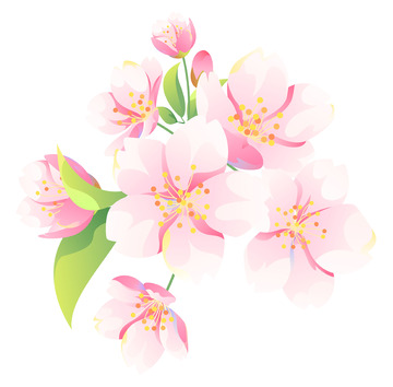 春天国风矢量樱花