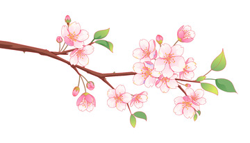 春天樱花国风矢量插画1