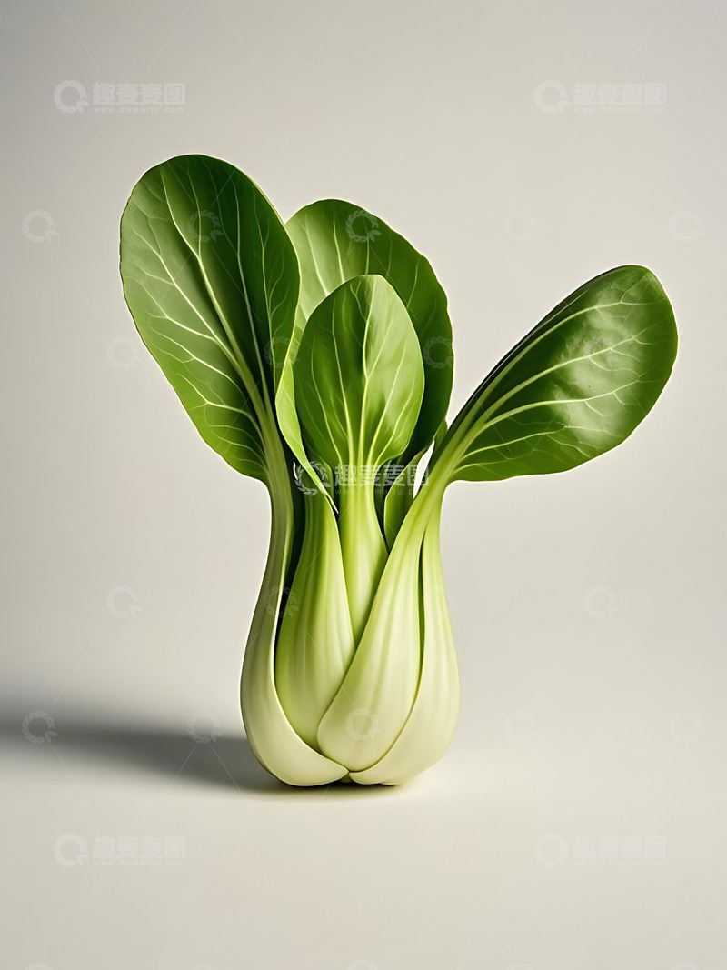 高清大图下载【趣麦麦图】新鲜蔬菜小油菜高清摄影特写