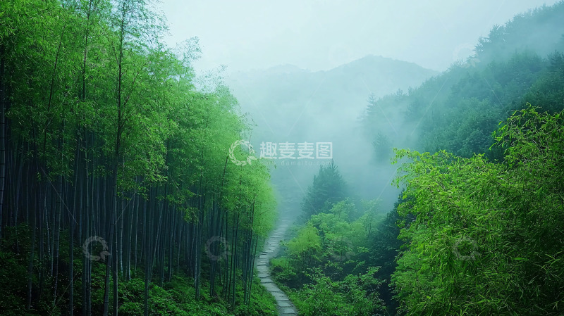 高清大图下载【趣麦麦图】雨雾朦胧竹林小路