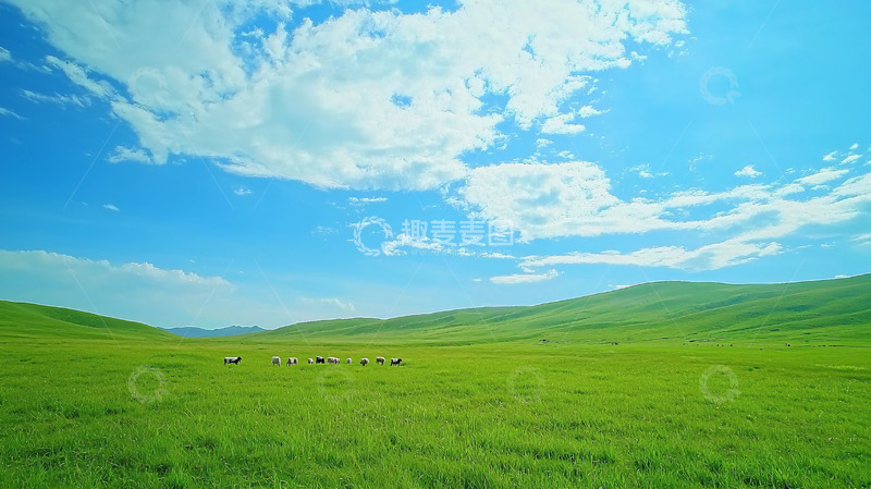 高清大图下载【趣麦麦图】蓝天白云下的绿色草原
