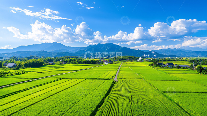高清大图下载【趣麦麦图】田园风光
