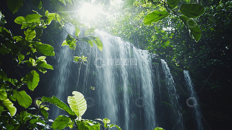 高清大图下载【趣麦麦图】阳光透过树叶的瀑布