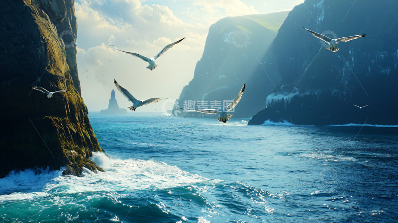 高清大图下载【趣麦麦图】海崖峭壁间飞翔的海鸥