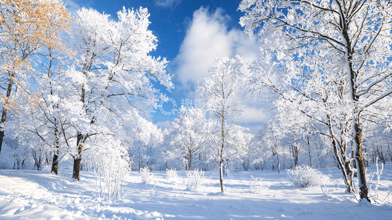 高清大图下载【趣麦麦图】冰雪森林