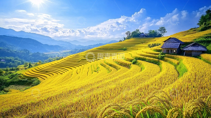 高清大图下载【趣麦麦图】梯田