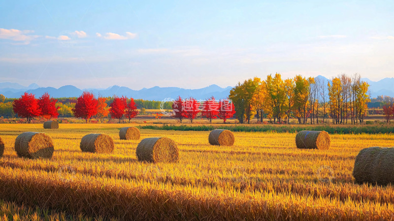 高清大图下载【趣麦麦图】秋日田园风光