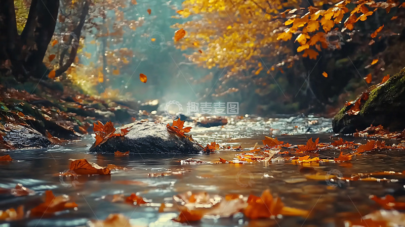 高清大图下载【趣麦麦图】秋日森林溪流