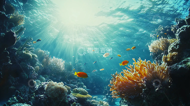 高清大图下载【趣麦麦图】阳光透过海水照射珊瑚礁