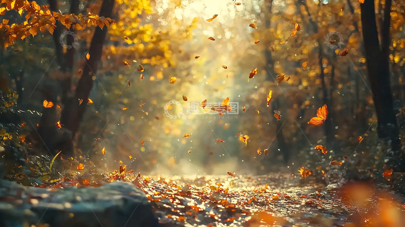 高清大图下载【趣麦麦图】秋日森林