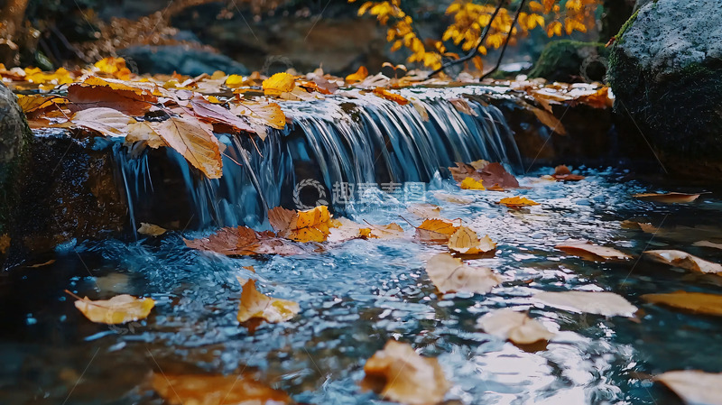 高清大图下载【趣麦麦图】秋叶飘落的小溪瀑布
