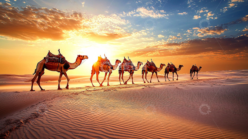 高清大图下载【趣麦麦图】沙漠日落驼队