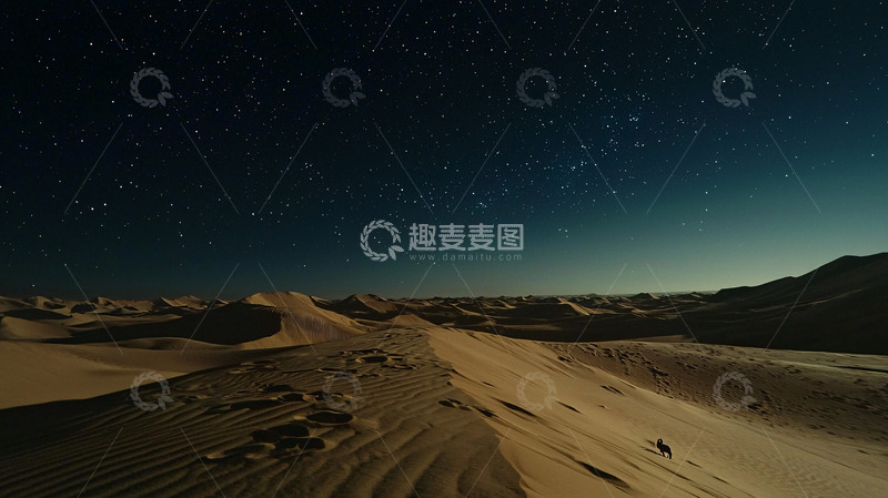 高清大图下载【趣麦麦图】沙漠夜景